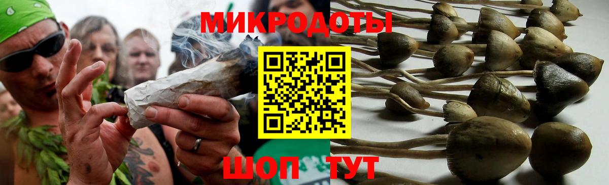 Псилоцибиновые грибы Magic Shrooms Видное